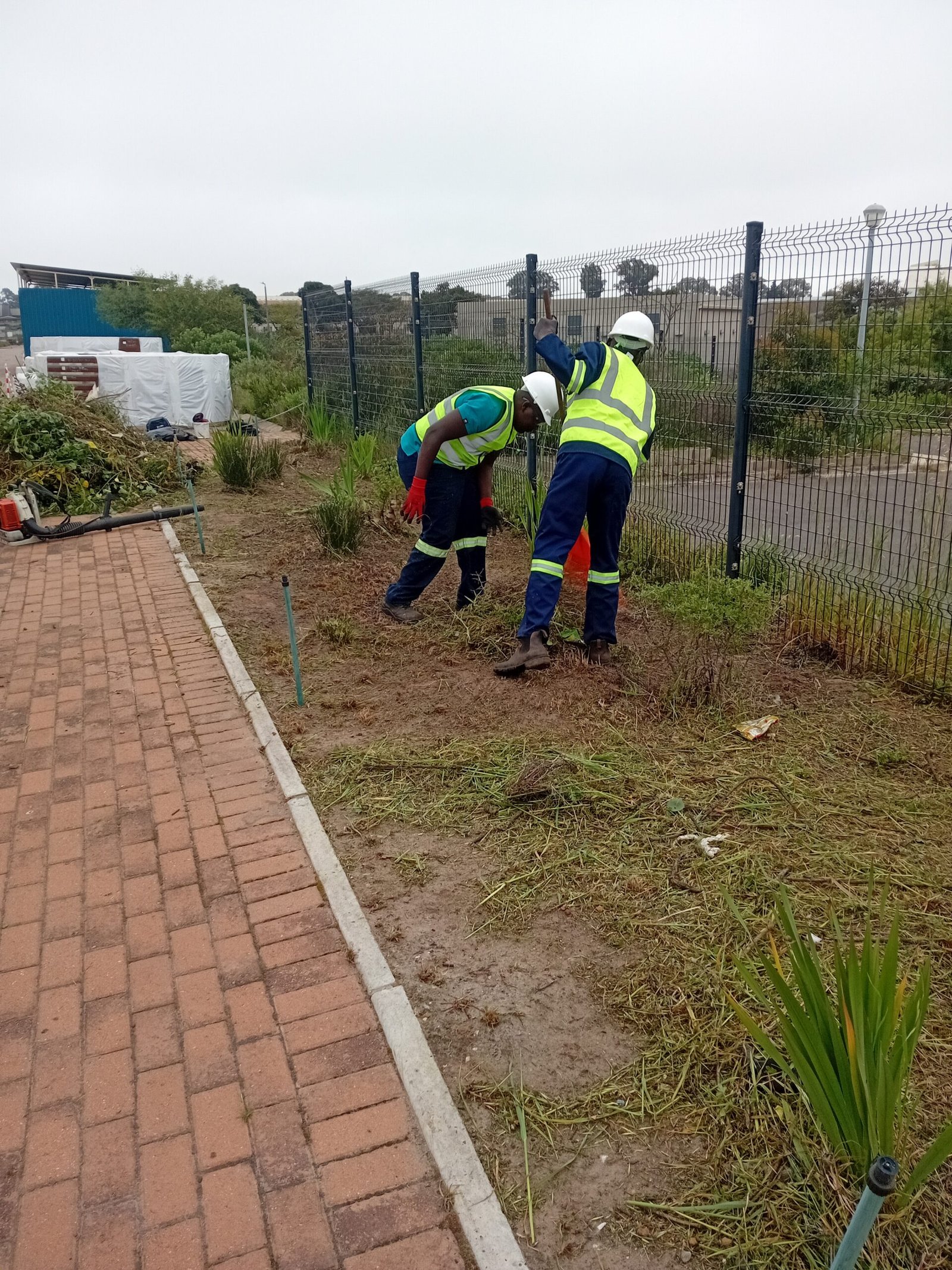 Plot clearance and site preparation services in Cape Town