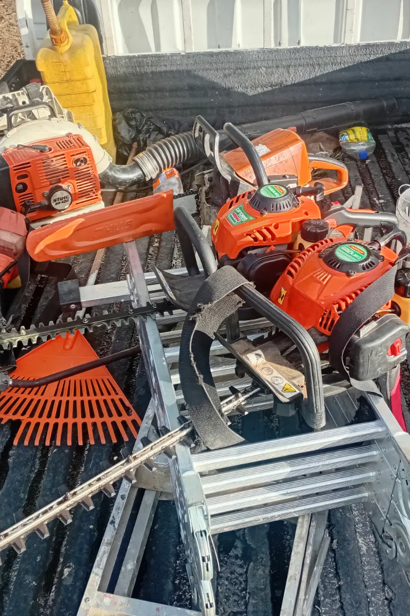 Professional tree cutting equipment and chainsaw in use