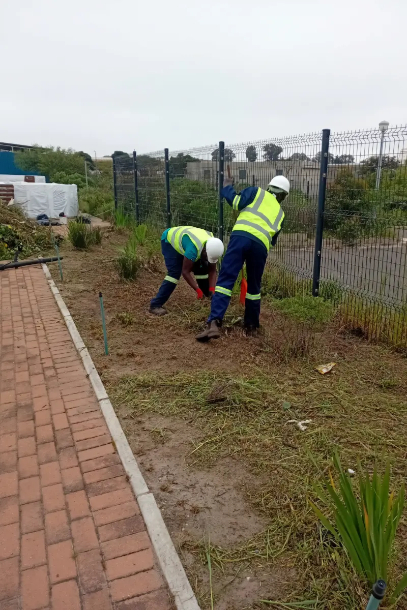 Plot clearance and land preparation service in Cape Town