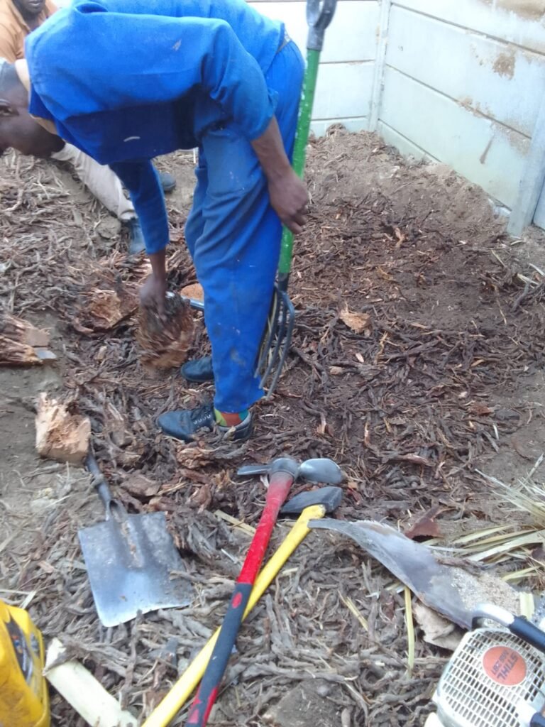 tree services Durbanville