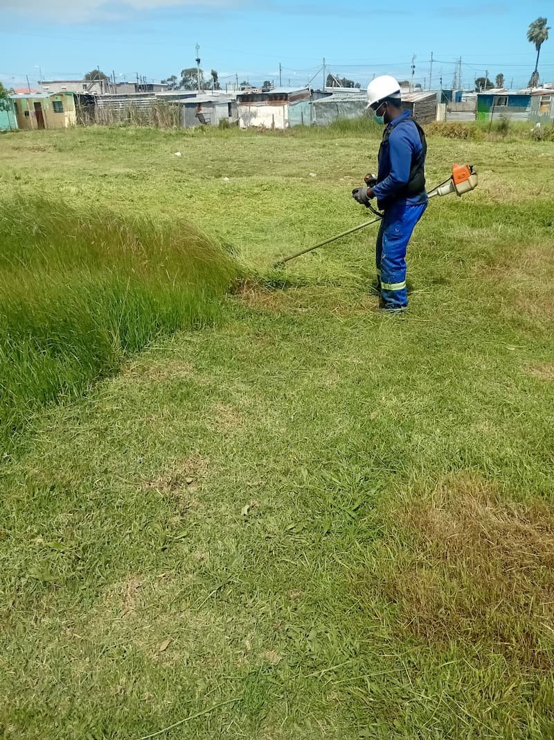 grass cutting