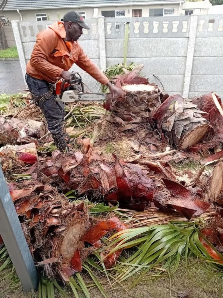 tree services Bellville