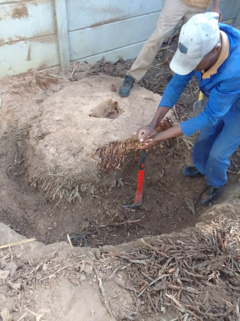 Stump Grinding & Removal