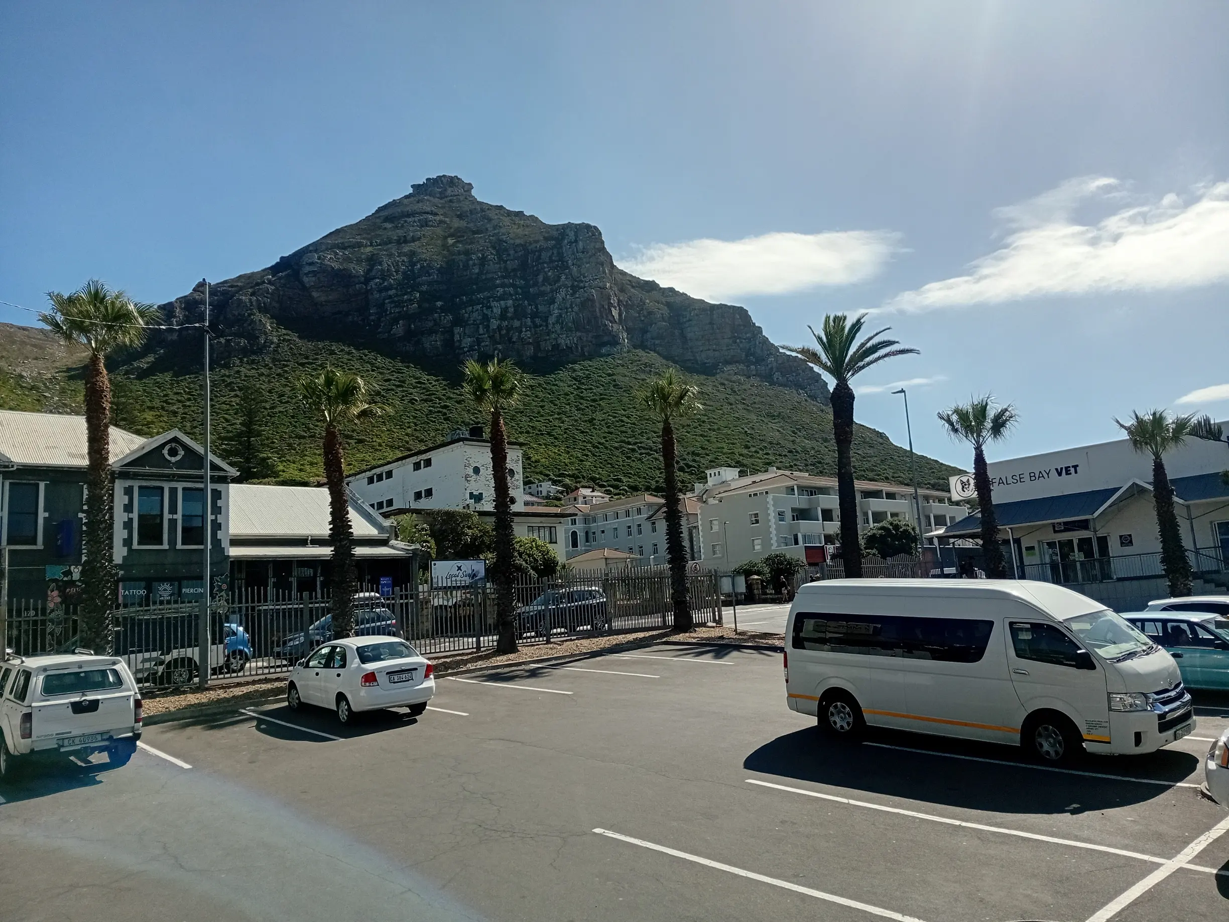 Tree Trimming & Pruning Cape Town
