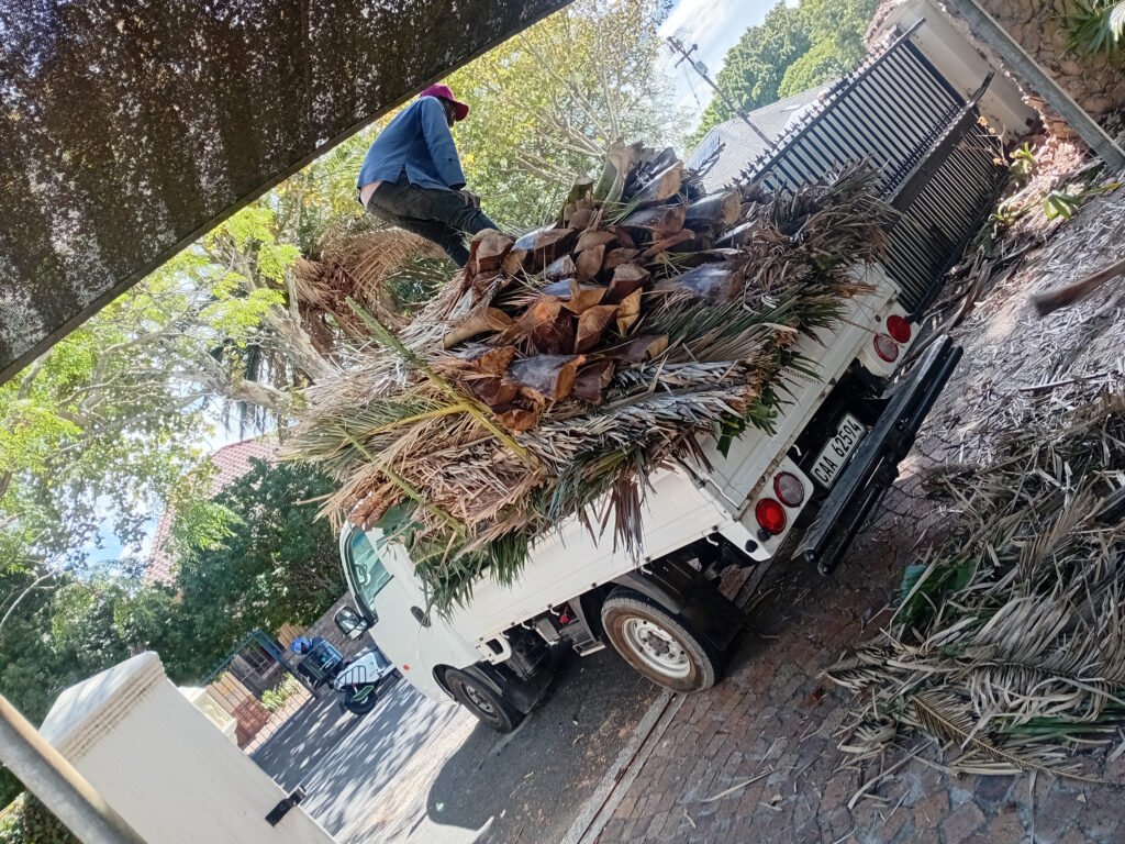 tree felling Stellenbosch