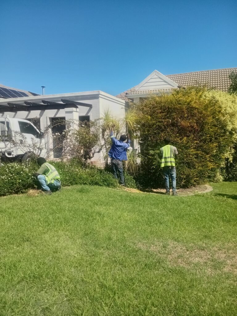 Tree Trimming Kuils River
