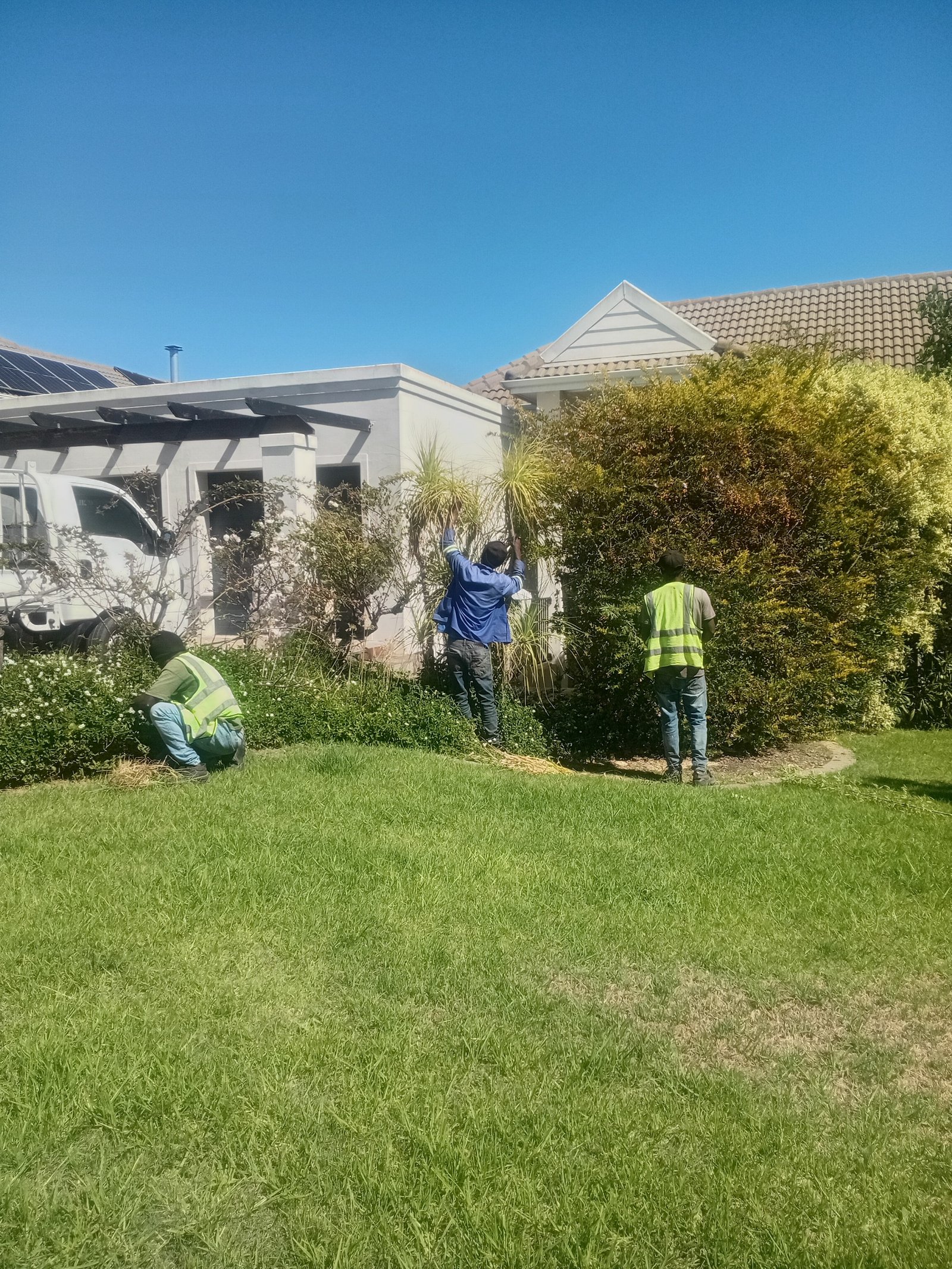 Tree Trimming Kuils River