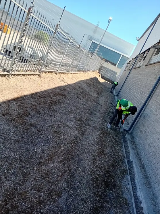 Site Clearing Bellville