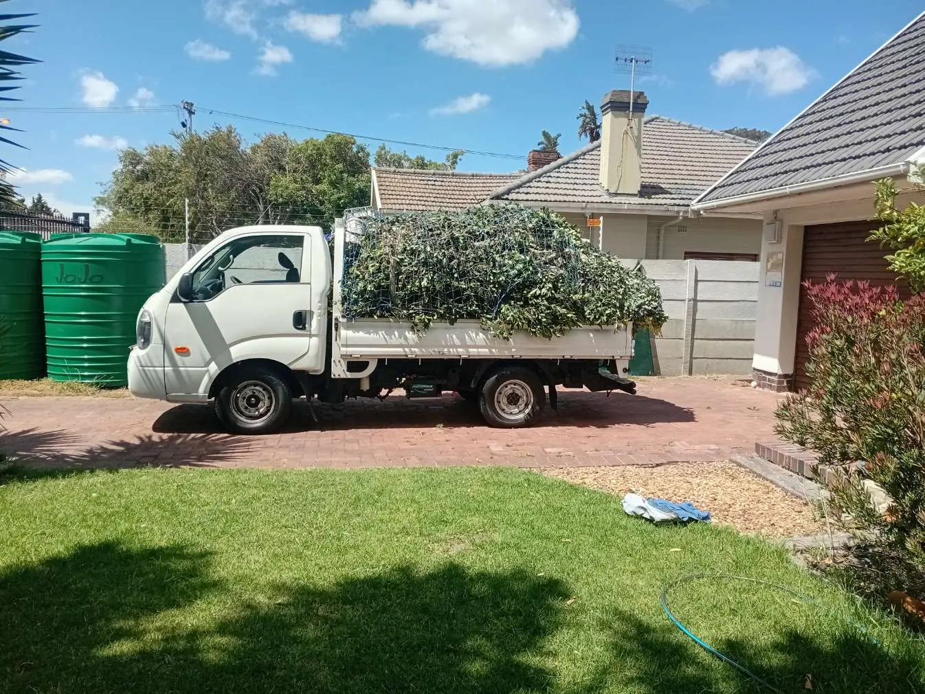 Tree branch removal and cleanup in Pinelands